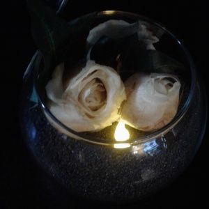 Forever Eternity Rose no water needed soft delicat